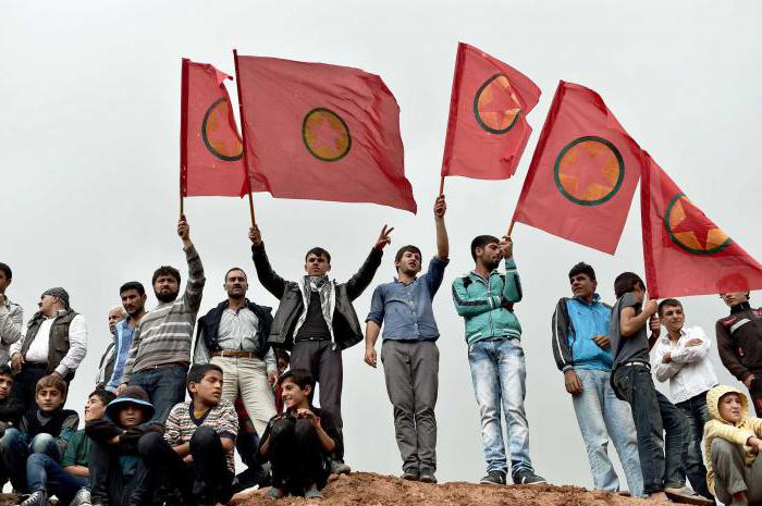 מפלגת פועלים כורדיסטאן: היסטוריה ויעדים